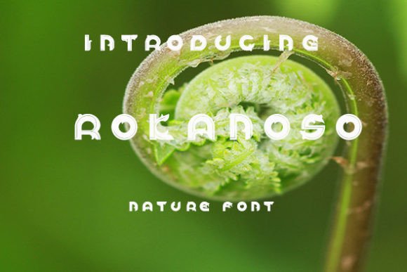 Rokanoso: The Organic Display Font for Authentic Brand Identity
